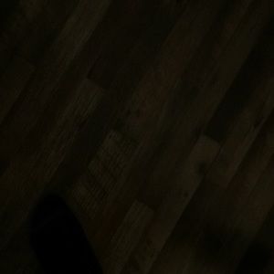 Meet your Posher, Paxton